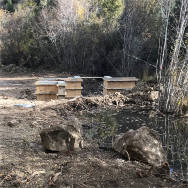 Ditch Rehabilitation