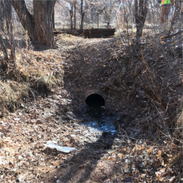 Ditch Rehabilitation